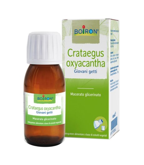 CRATAEGUS OXY MG 60ML INT BO