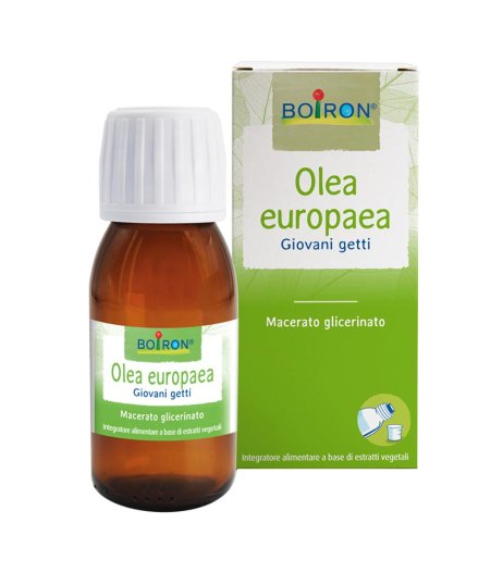 BO.OLEA EUROPAEA MG 60ML INT