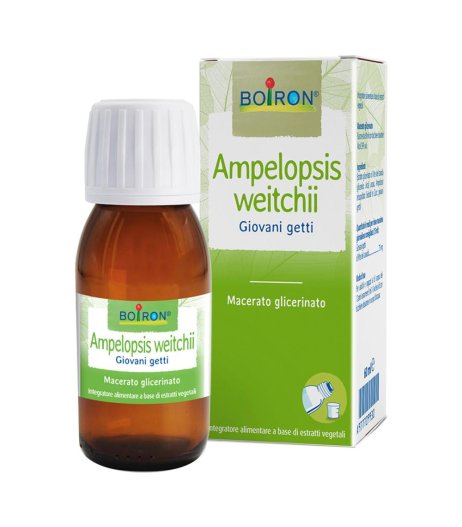 BO.AMPELOPSIS WEI MG 60ML INT