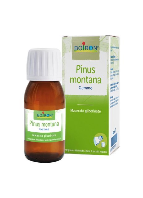 PINUS MONTANA MG 60ML INT BO