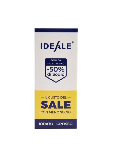 IDEALE CONDIMENTO SALE GR300G