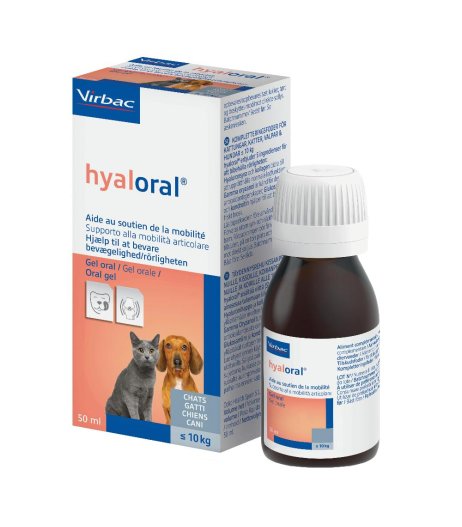 HYALORAL GEL ORALE 50ML