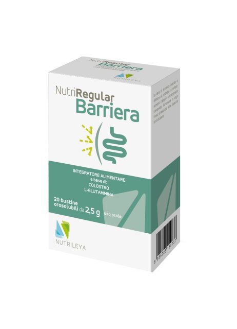 NUTRIREGULAR BARRIERA 20BUST