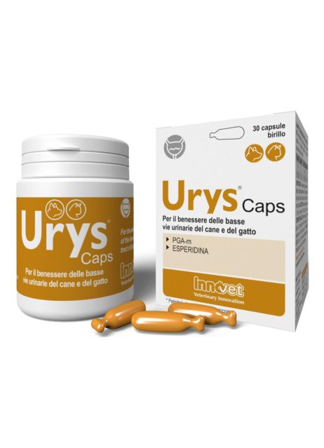 URYS CAPS 30CPS