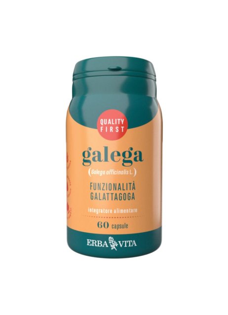 GALEGA 60 CAPSULE