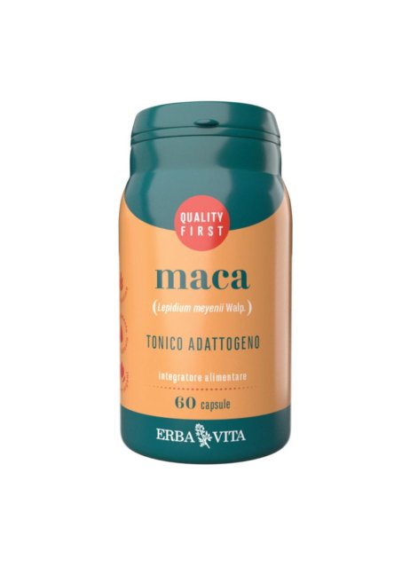 MACA 60CPS EBV