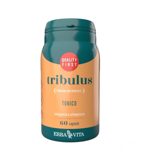 TRIBULUS 60CPS EBV