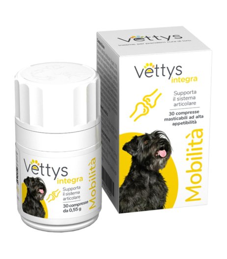 VETTYS INTEGRA MOBILITA' CANE