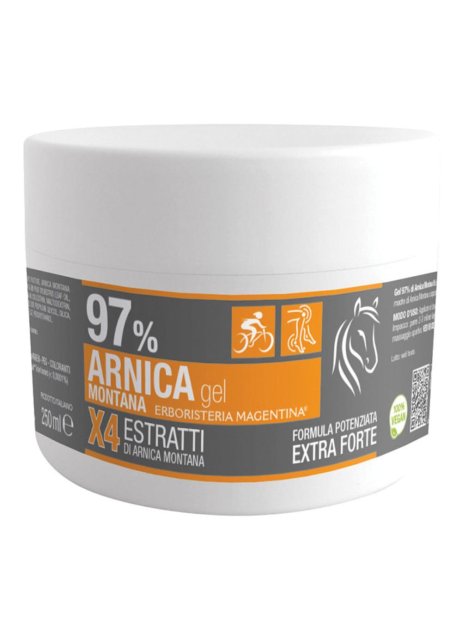 ARNICA 97% GEL 250ML ERB MAGENTI