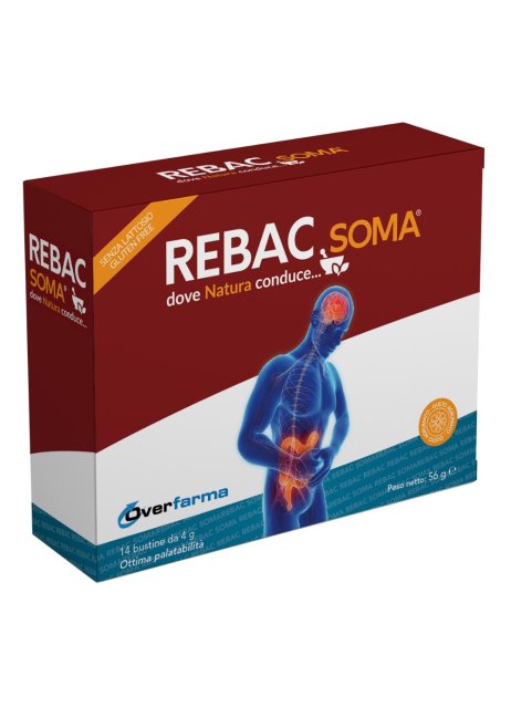 REBAC SOMA 14BUST