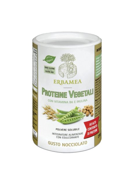 PROTEINE Veg.270g EBM