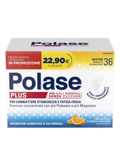 POLASE PLUS 36BUST PROMO 2024