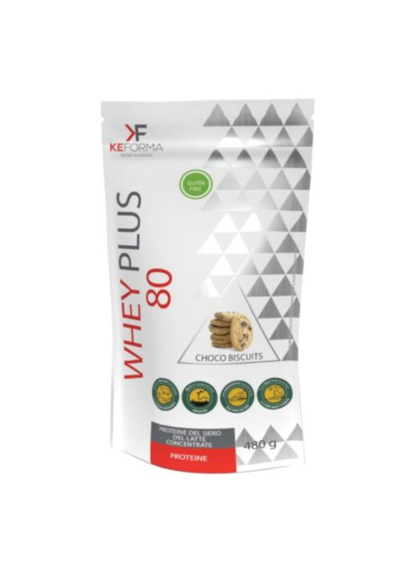 WHEY PLUS 80 CHOCO BISCUIT480G