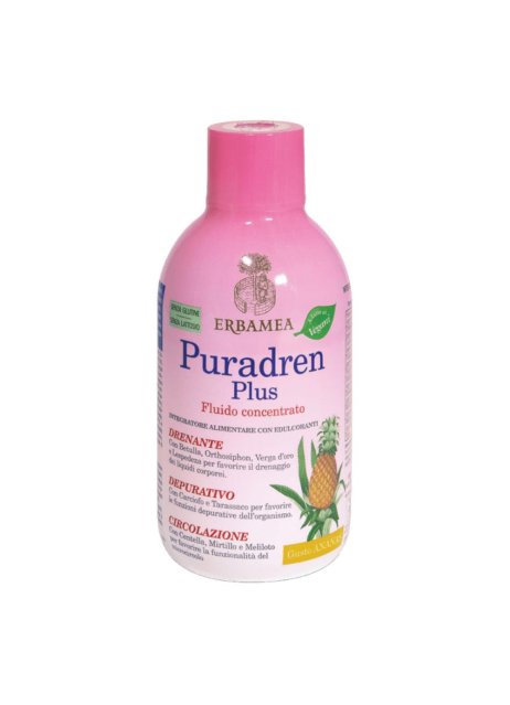 PURADREN Plus Ananas 500ml